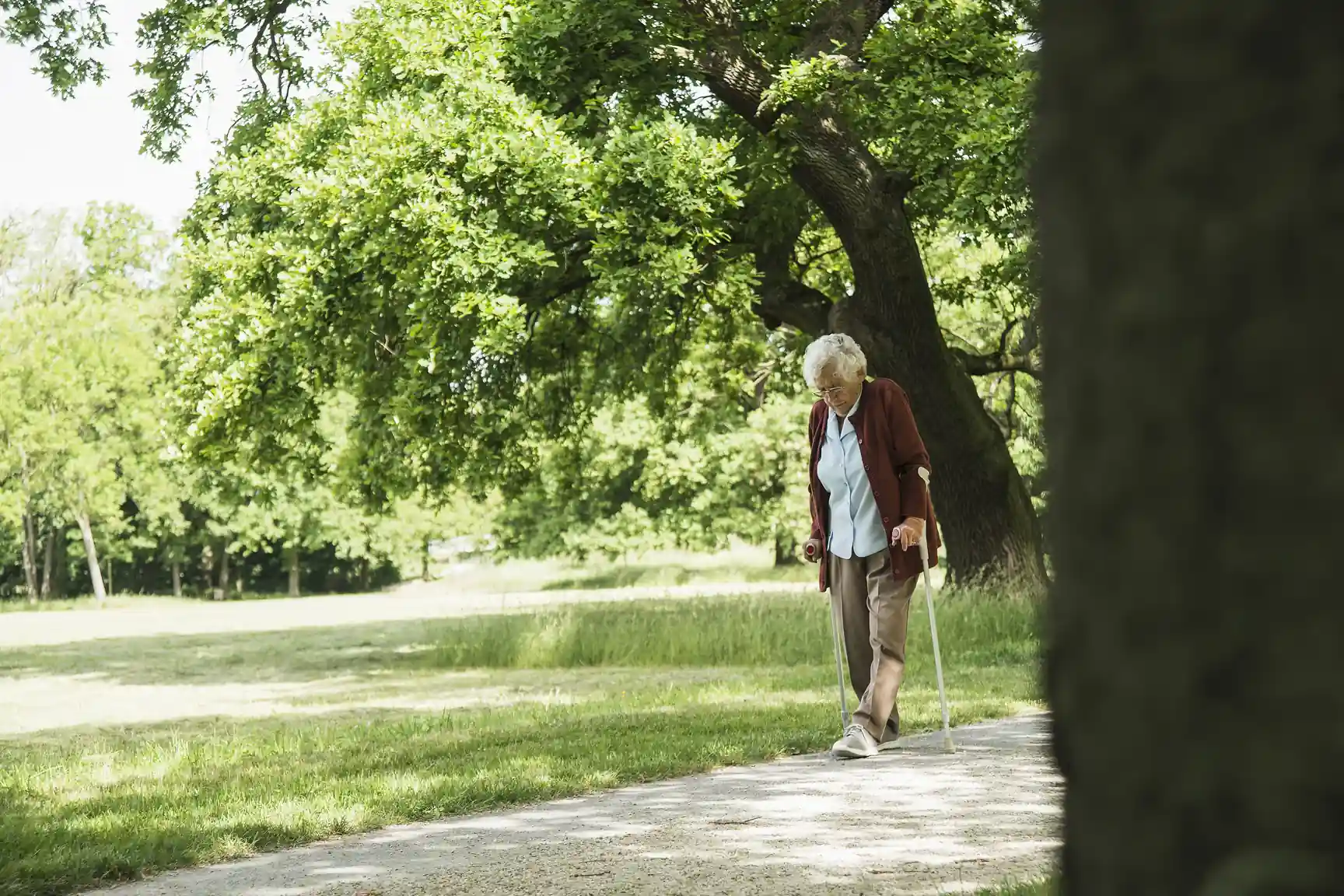 Person walking along a park path